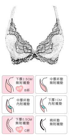 MIT 涼感花舞光澤蕾絲W鋼圈內衣 柔美物語 台灣製造 AB杯 C杯(無內褲) - 香草甜心